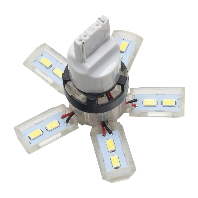 ORACLE 7440 24 SMD 3 Chip Spider Bulb (Single) - Cool White SEE WARRANTY