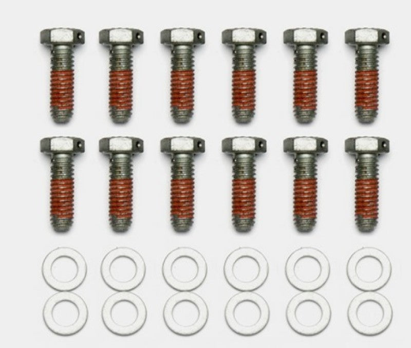 WILWOOD Bolt Kit - 5/16-18 x 1.00 LG - 12 pk