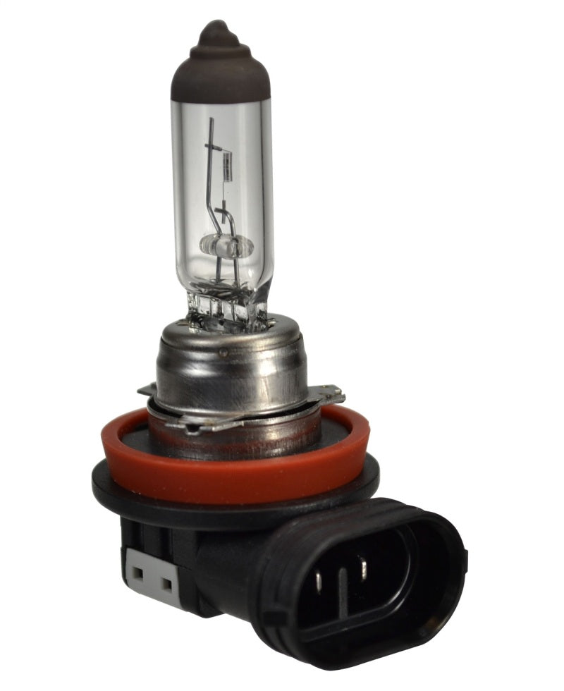 HELLA Bulb H16 12V 19W PGJ19-3