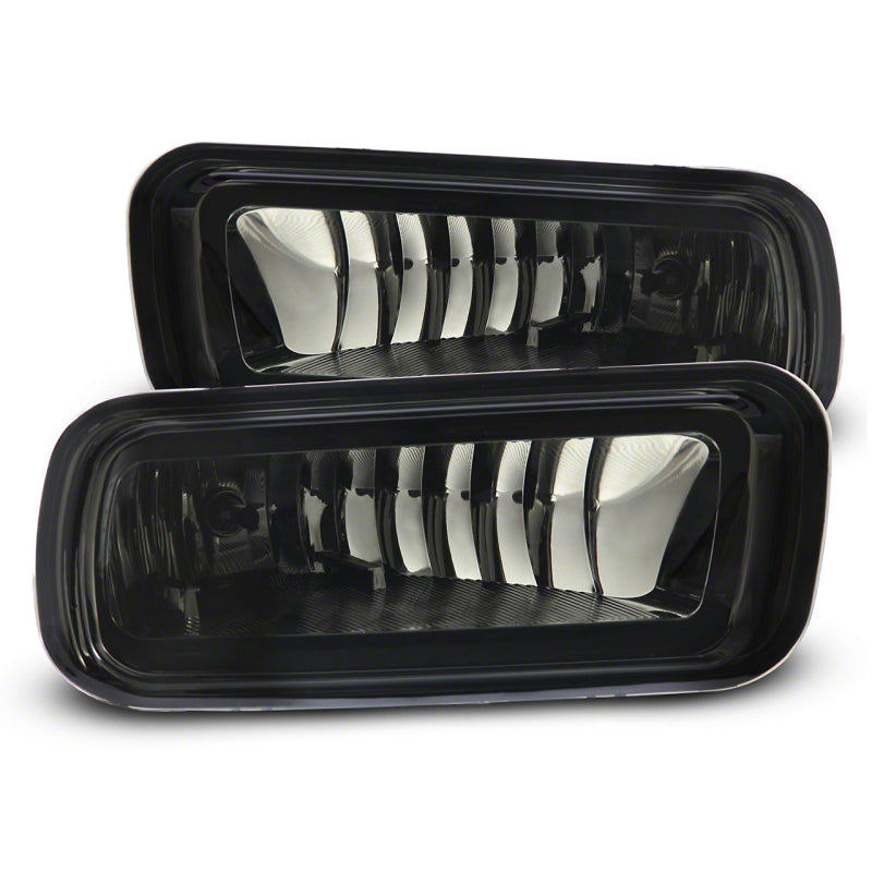 RAXIOM 04-06 Ford F-150 Fog Lights- Smoked