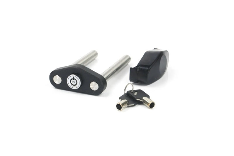 WEIGH SAFE Dual Pin Lock Assembly for True Tow Weight Distribution/Steel Hitch - Steel