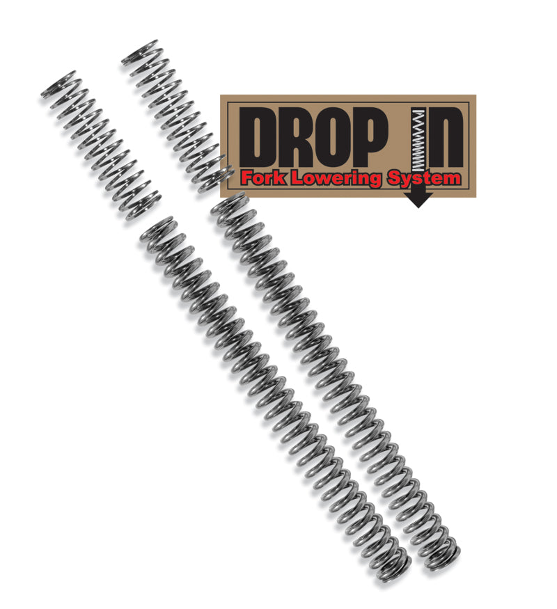 PROGRESSIVE 10-2002 Drop In Fork Lwrng Kit